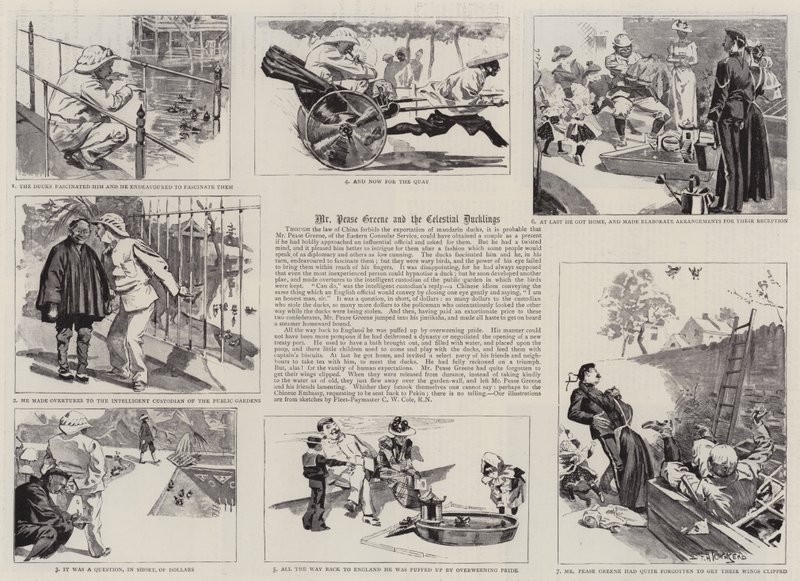 Mr Pease Greene en de Hemelse Eendjes door Frederick Henry Townsend