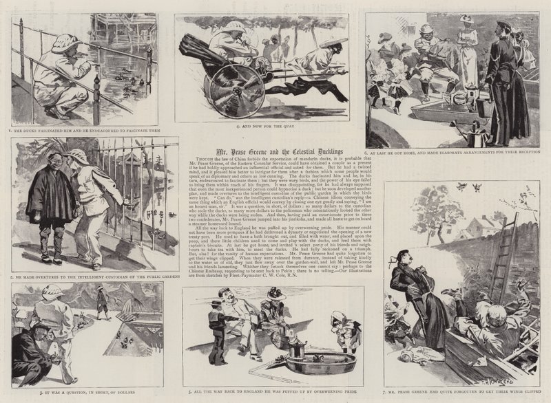 Mr Pease Greene en de hemelse eendjes door Frederick Henry Townsend