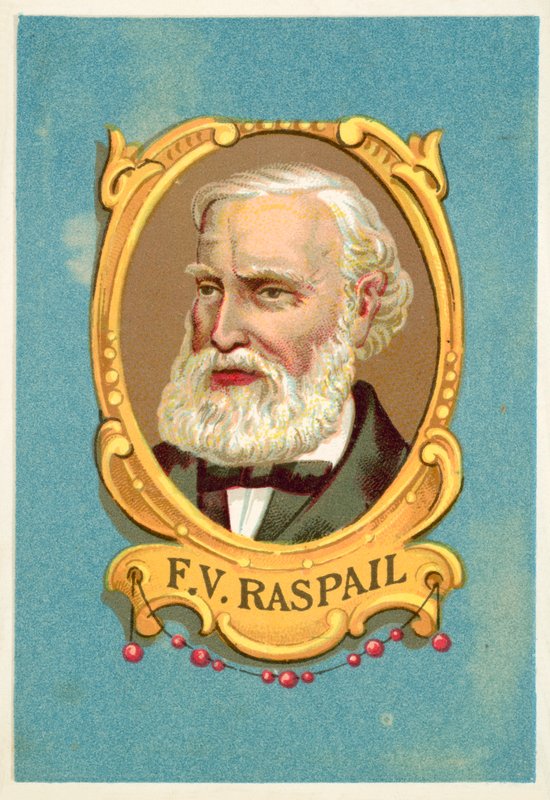 Francois-Vincent Raspail, Franse arts door French School