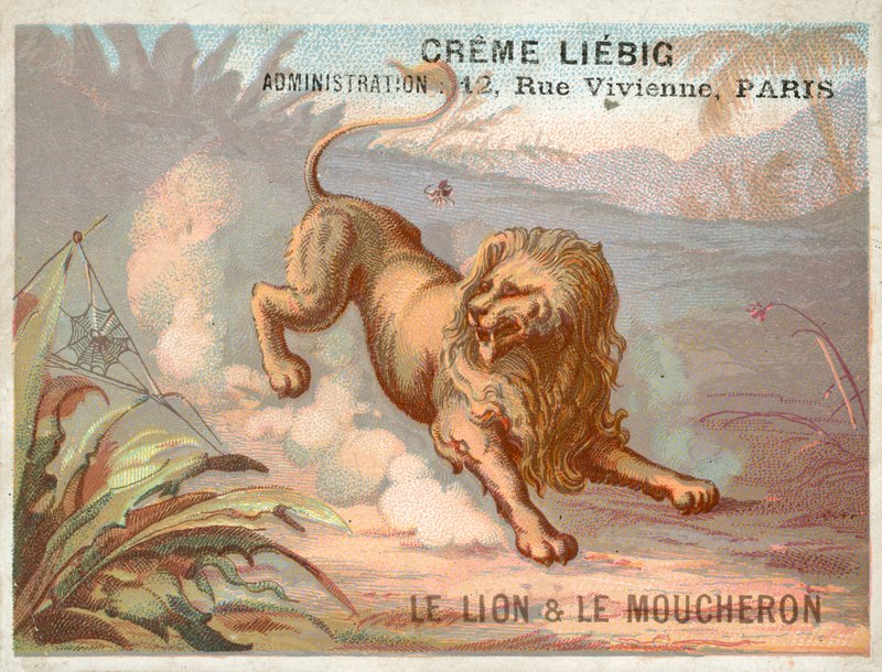 De Leeuw en de Mug door French School