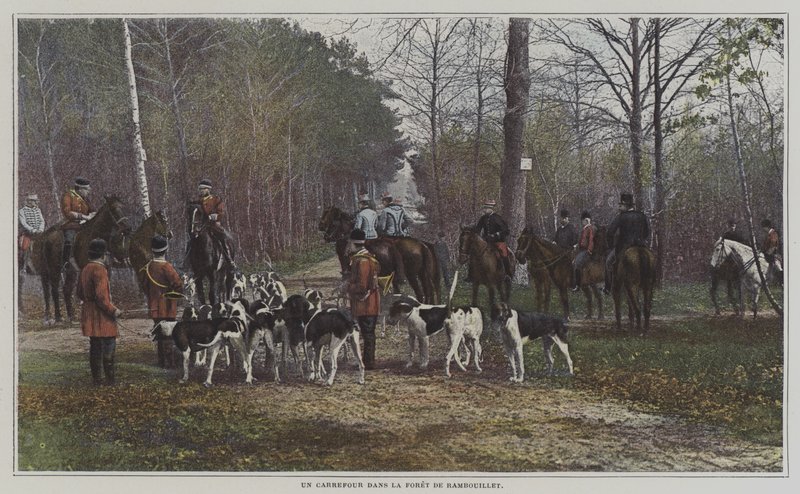 Een kruispunt in het Foret de Rambouillet, Frankrijk door French Photographer