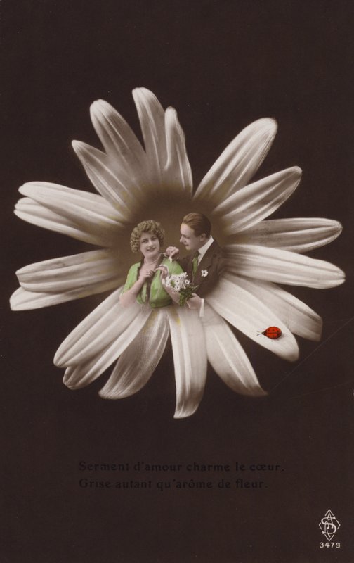 Een jong koppel in het midden van een bloem met een lieveheersbeestje door French Photographer