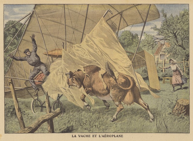 Een koe die een vliegtuig aanvalt in het Amerikaanse Midwesten door French School