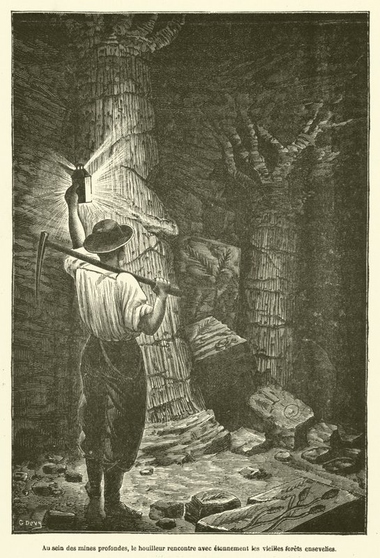 In de diepe mijnen, de mijnwerker ontmoet met verbazing de oude begraven bossen (gravure) door French School