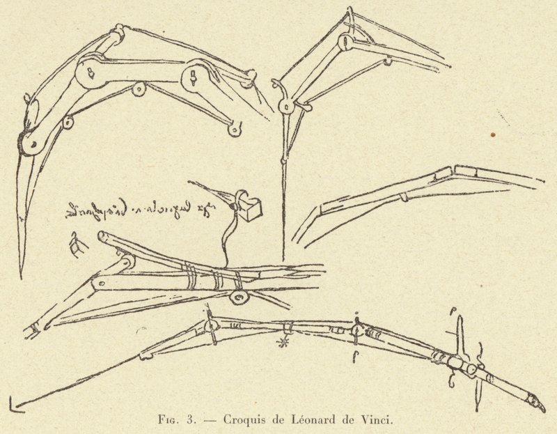 Schets van Leonardo da Vinci door French School
