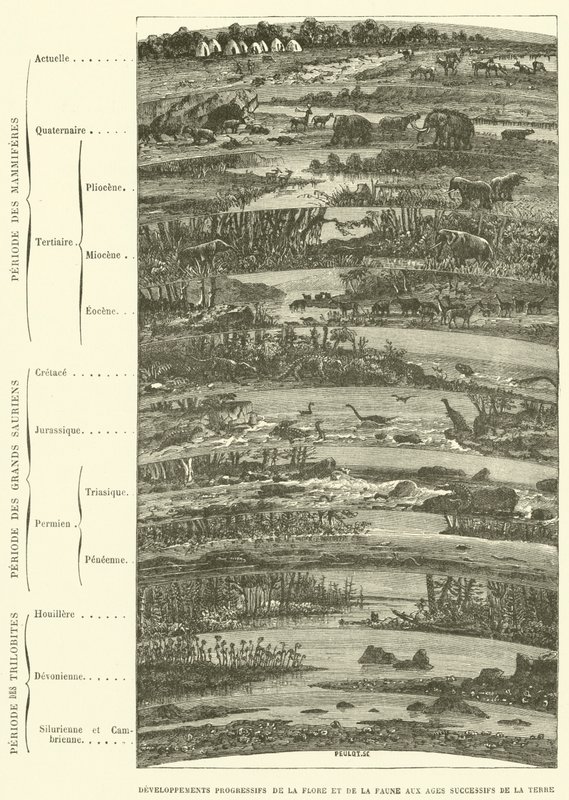 Progressieve ontwikkelingen van flora en fauna in opeenvolgende tijdperken van de aarde (gravure) door French School