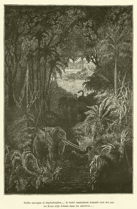 Wilde en ondoordringbare bossen... de zware mastodont verpletterde onder zijn stappen de bloemen die al in de open plekken bloeiden (gravure) door French School