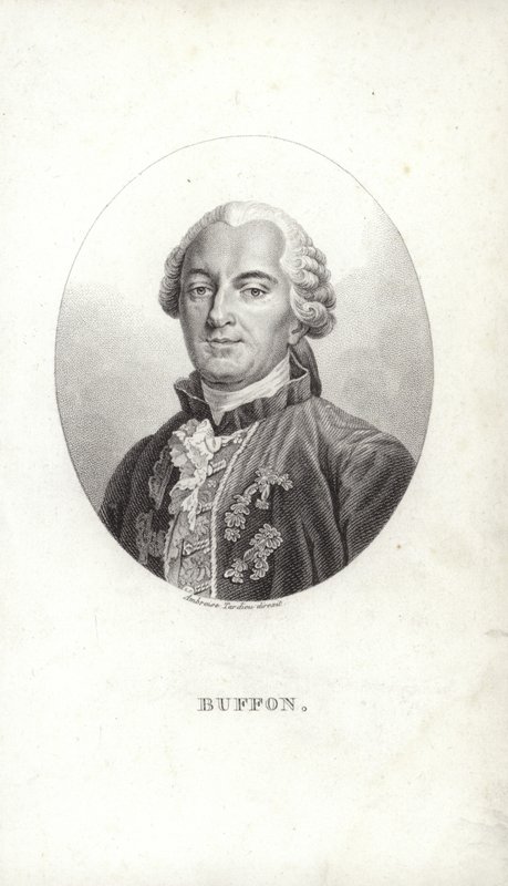 Georges-Louis Leclerc door French School