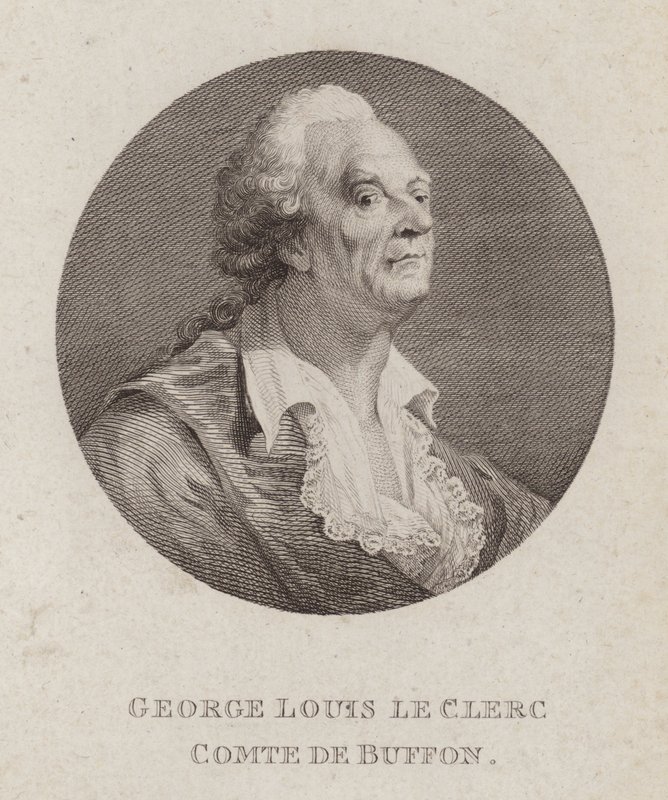Georges-Louis Leclerc, Graaf van Buffon, Franse natuuronderzoeker door French School