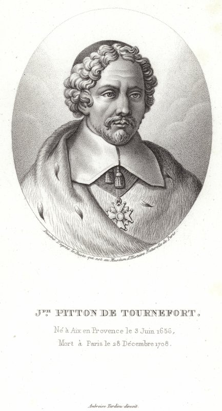 Joseph Pitton de Tournefort door French School