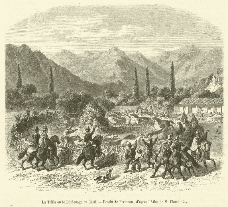 De dors of het dorsen in Chili (gravure) door French School