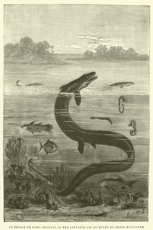 De regio van Parijs tijdens de Krijtzee, einde van het bewind van de grote mosasaurus (gravure) door French School