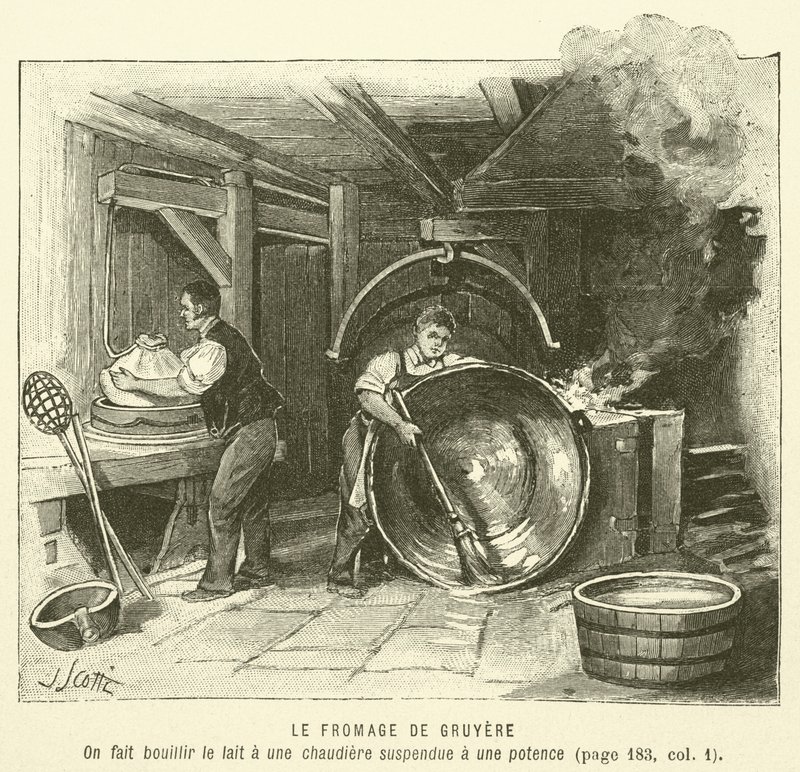 De Gruyere Kaas door French School