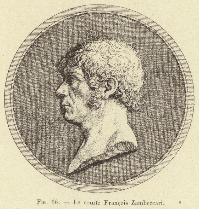 Le comte Francois Zambeccari door French School
