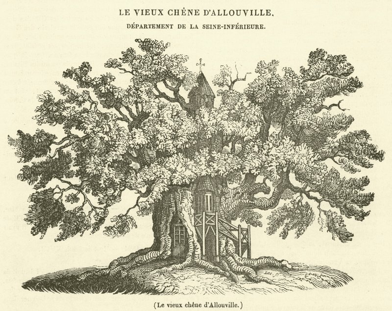 De oude eik van Allouville door French School