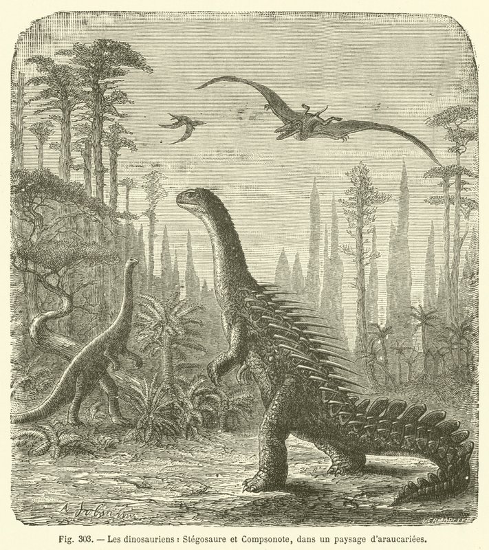 De dinosauriërs, Stegosaurus en Compsognathus, in een landschap van araucariaceae (gravure) door French School