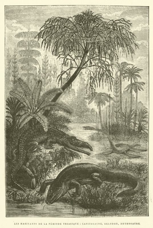 De bewoners van de Trias-periode, capitosaure, belodon, nothosaure door French School