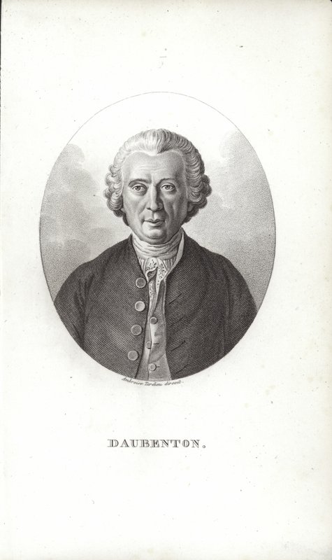 Louis-Jean-Marie Daubenton door French School