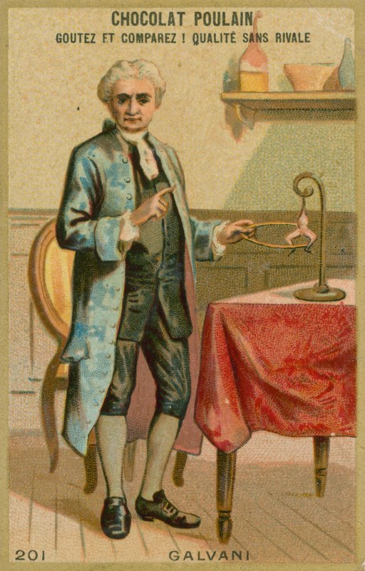 Luigi Galvani door French School