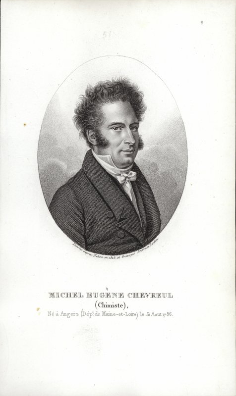 Michel Eugene Chevreul door French School