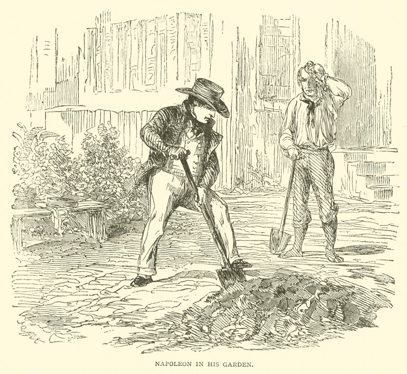 Napoleon in zijn tuin door French School