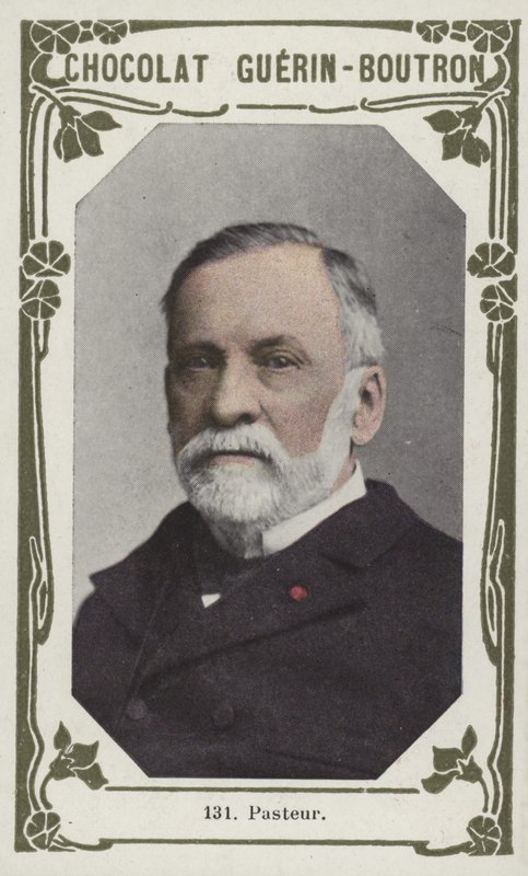 Pasteur door French School
