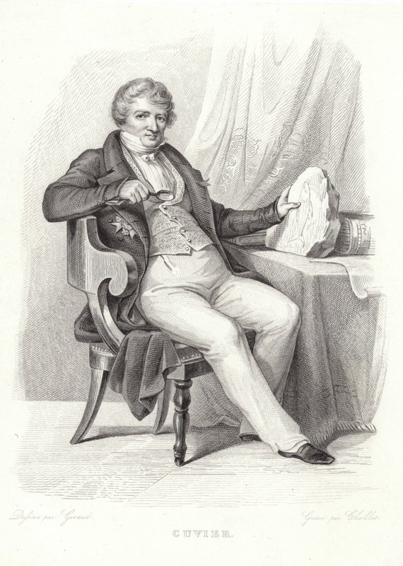 Portret van George Cuvier door French School