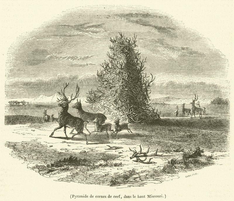 Piramide van hertenhoorns, in de bovenloop van Missouri (gravure) door French School