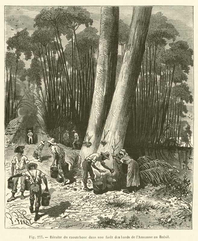 Rubberoogst in een bos aan de oevers van de Amazone in Brazilië door French School
