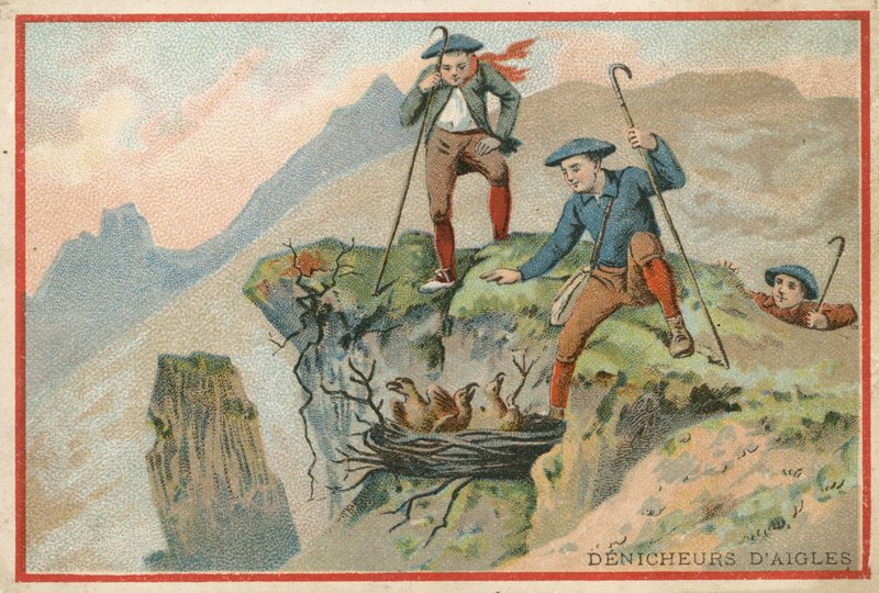 Handelskaart met een afbeelding van mannen die arends eieren stelen door French School
