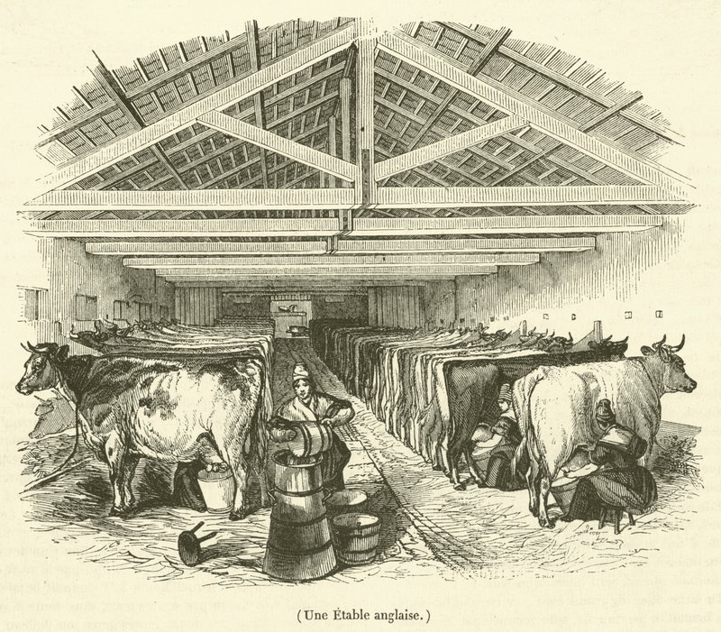 Een Engelse stal (gravure) door French School