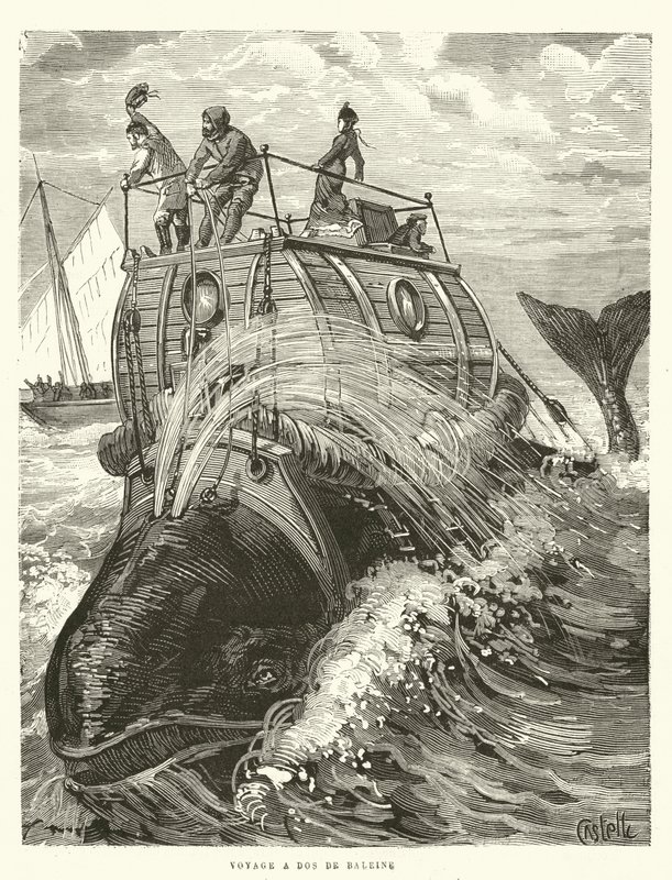 Voyage a Dos de Baleine (gravure) door French School
