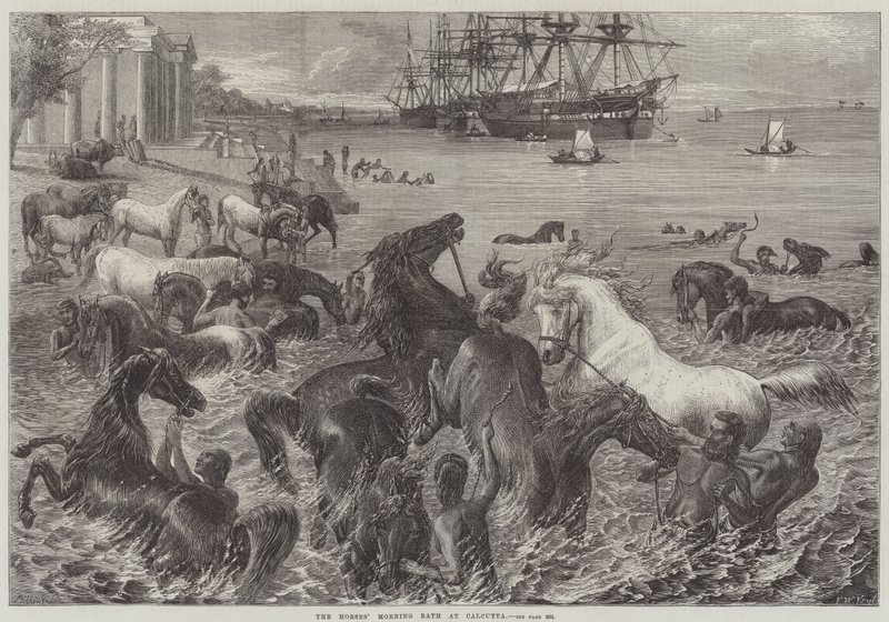 Het ochtendbad van de paarden in Calcutta door Friedrich Wilhelm Keyl