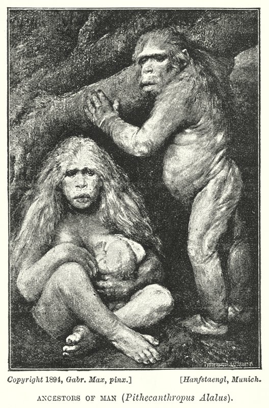 Voorouders van de mens, Pithecanthropus Alalus door Gabriel Max
