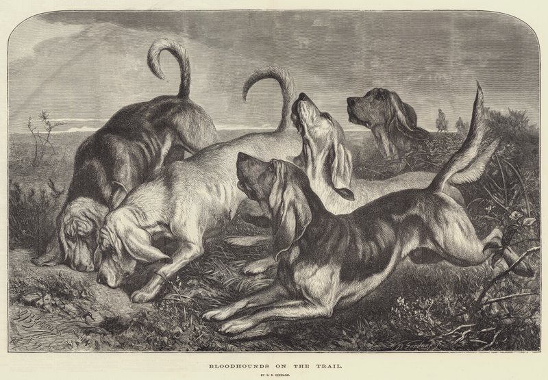 Bloedhonden op het Spoor door George Bouverie Goddard