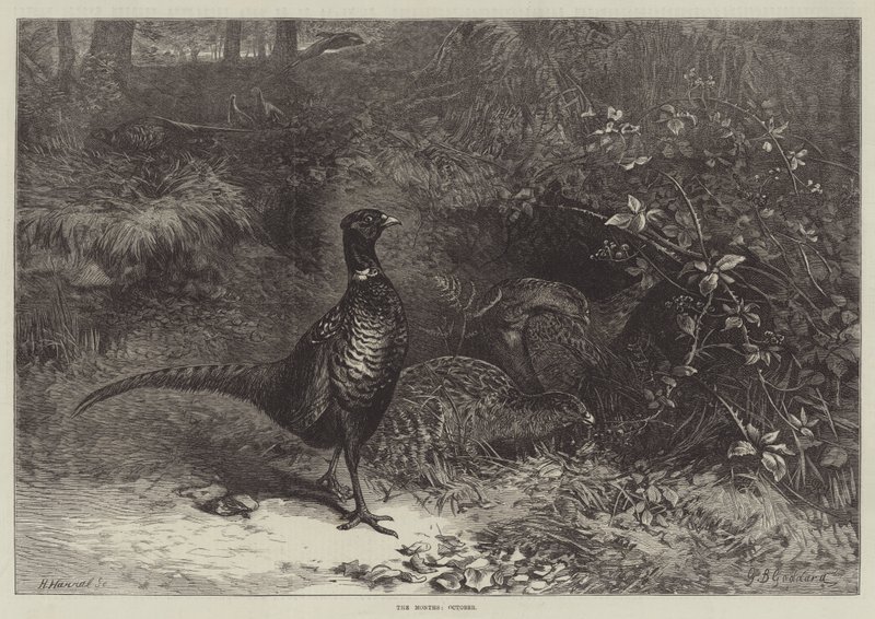 De Maanden, Oktober door George Bouverie Goddard