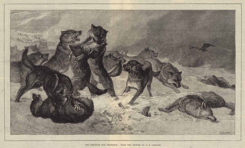 De strijd om het bestaan door George Bouverie Goddard