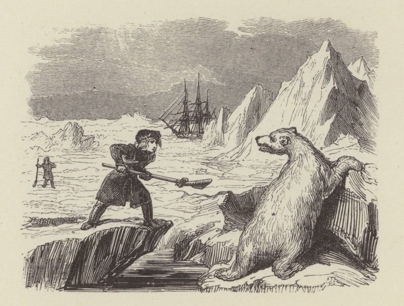 De jonge Nelson die een ijsbeer doodt door George (after) Cruikshank