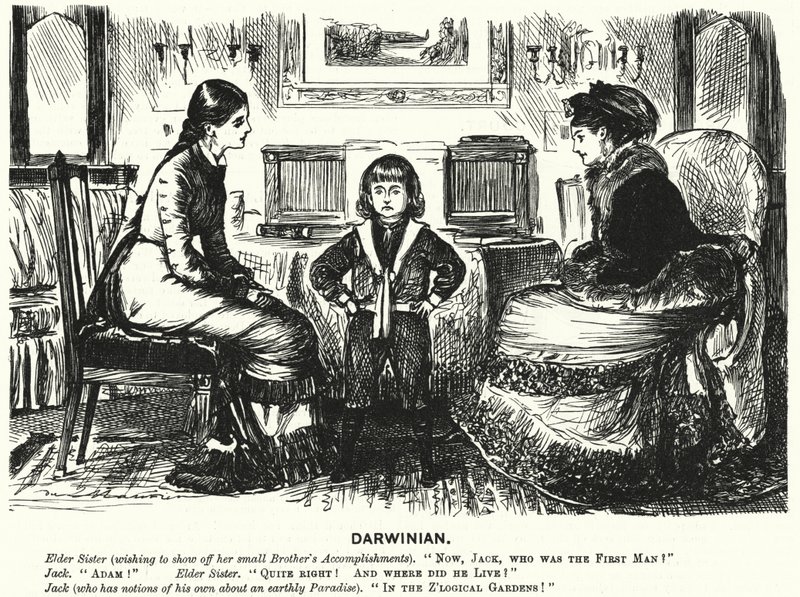 Punch cartoon (gravure) door George (after) Du Maurier