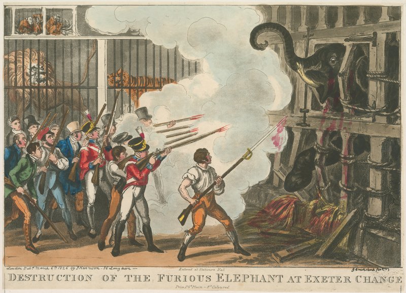 Vernietiging van de woedende olifant bij Exeter Change, 1826 door George Cruikshank