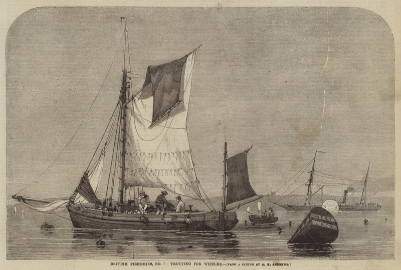 Britse visserijen, nr. 7, wulken vangen door George Henry Andrews