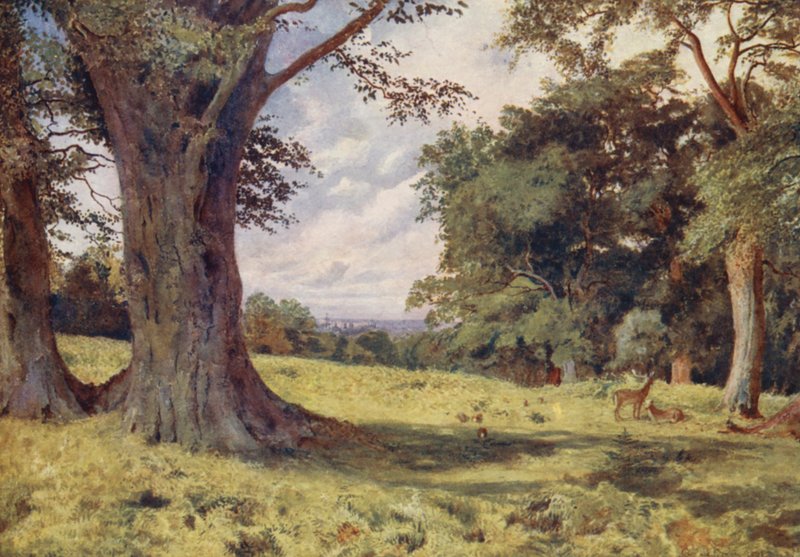 Een open plek in Windsor Great Park door George Moore Henton