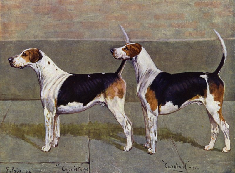 De Puckeridge Foxhounds Kolonist en Kardinaal door George Paice
