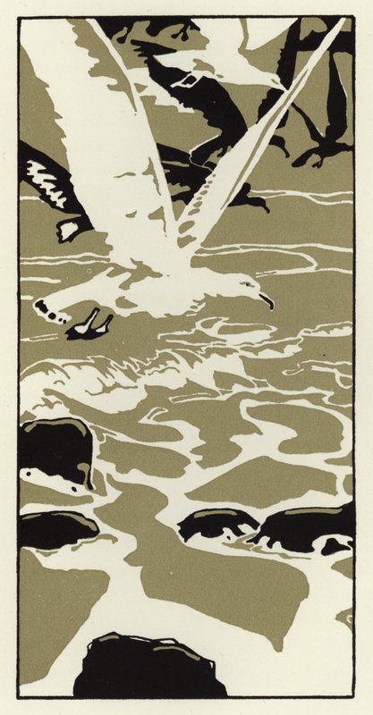 Van het strand kwam een grote witte meeuw door George Sheringham