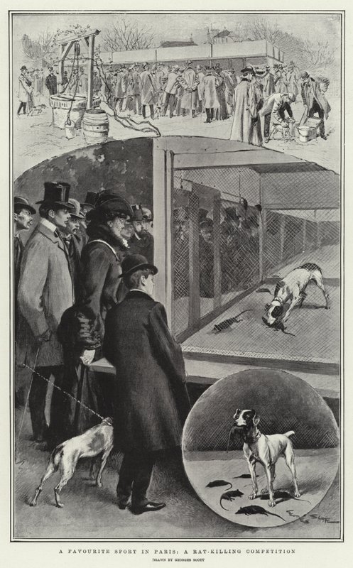 Een favoriete sport in Parijs, een rattenmoordwedstrijd door Georges Bertin Scott