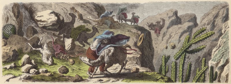 Een lama-karavaan die erts vervoert gevangen in een storm in de Andes (gekleurde gravure) door German School