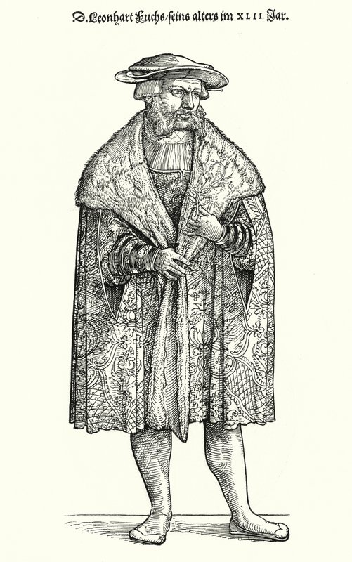 Dr. Leonhart Fuchs, Duitse arts, botanicus en professor aan de Universiteit van Tübingen door German School