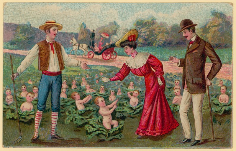 Babies laten groeien uit kool door German School