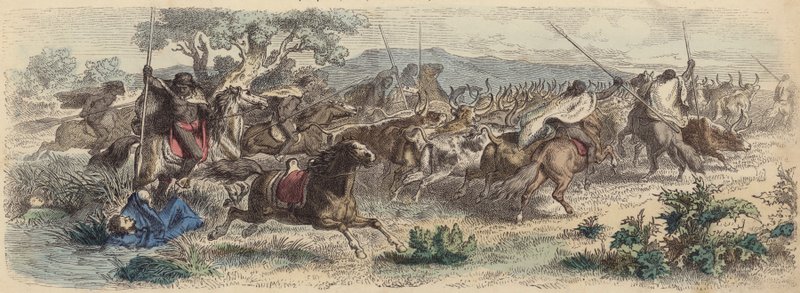 Indianen verrassen Gaucho