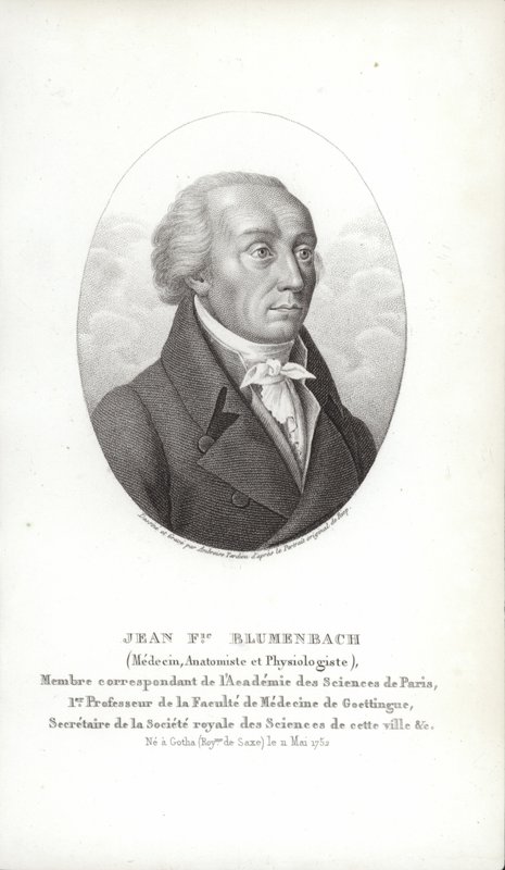 Johann Friedrich Blumenbach door German School
